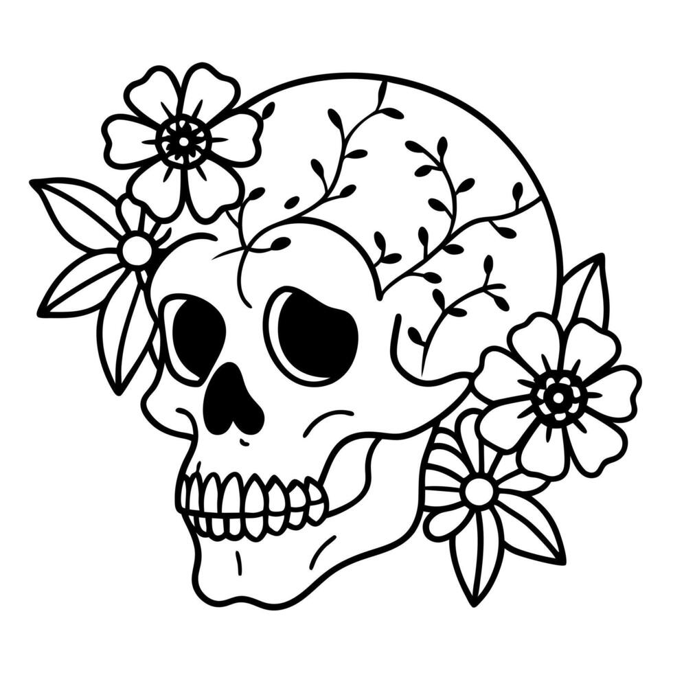 A detailed illustration of a human skull vector