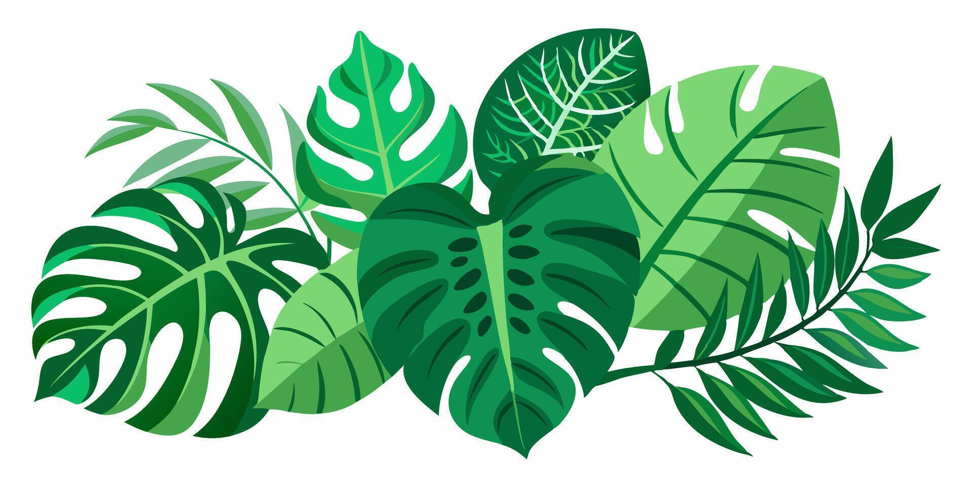 tropical plants illustration vector