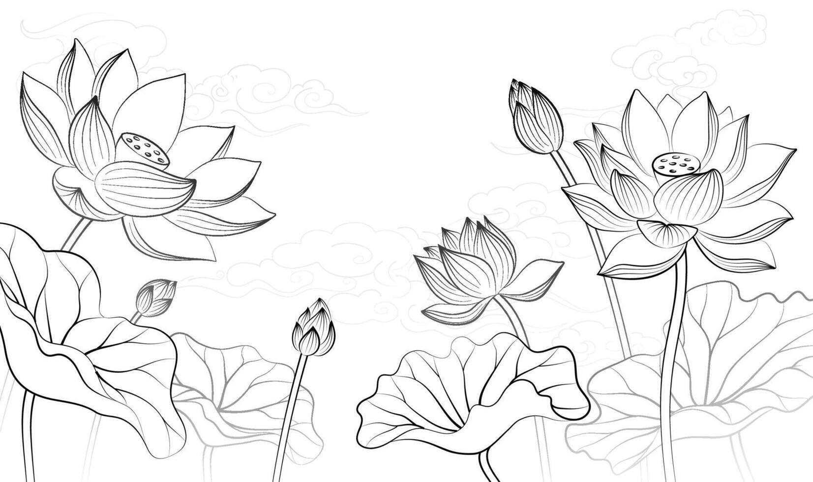 Hand drawn elegant linear illustration of a lotus flower on a light background vector