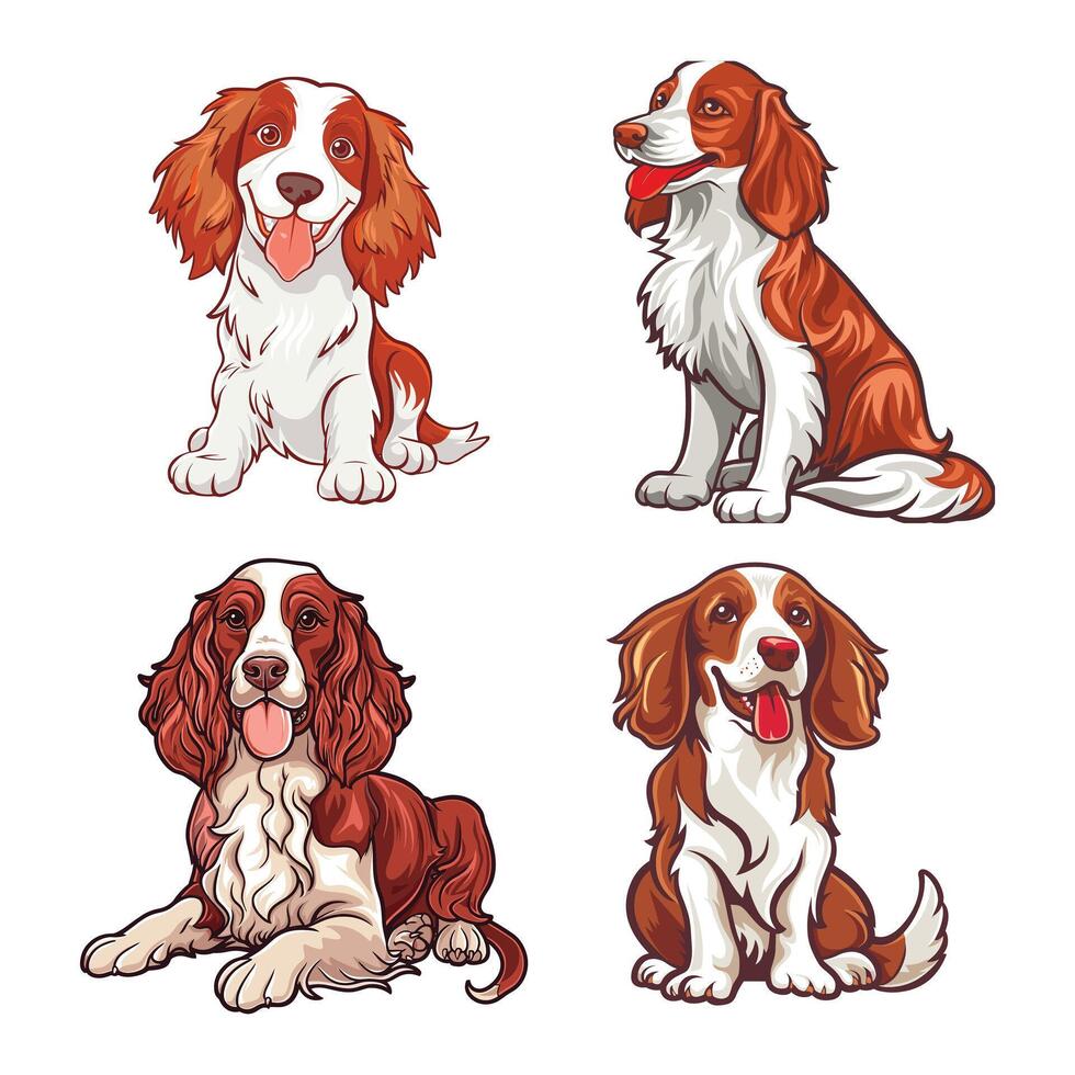Italian Irish Red and White Setter dog tshirt vector