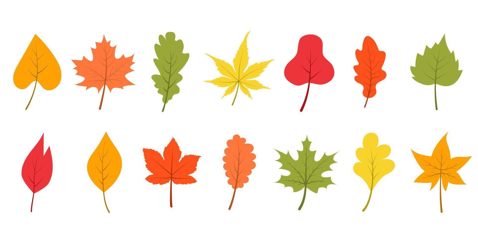 Colorful autumn leaves set. cartoon illustration. vector