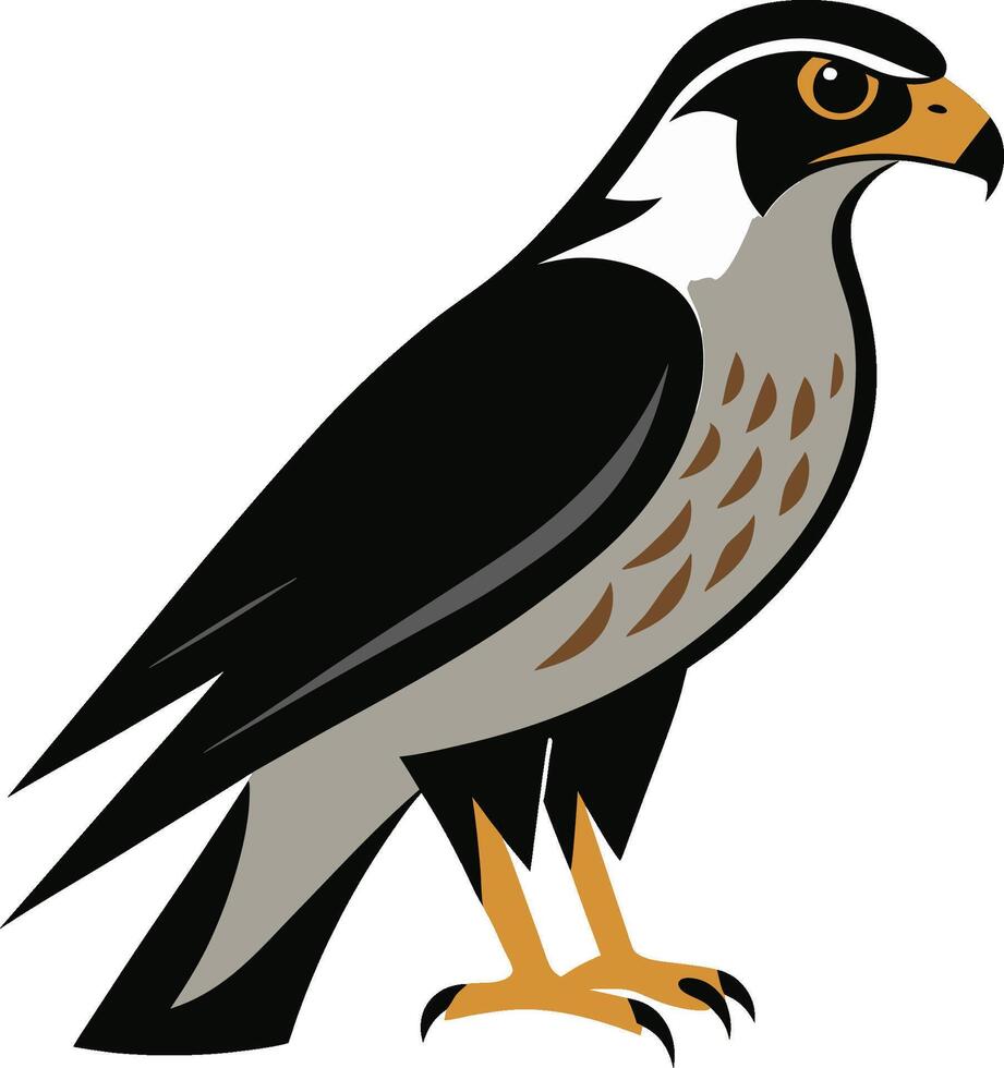 Illustration falcon bird animal flat art design vector