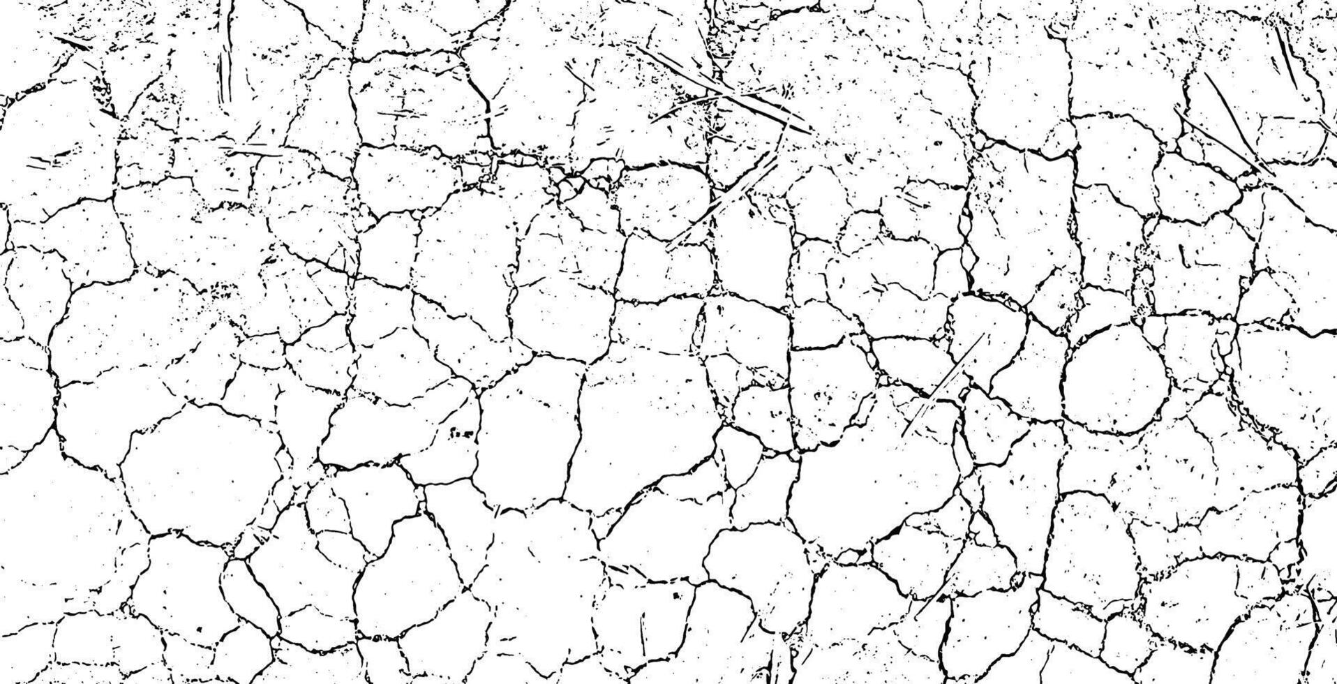 black and white color cracked texture, land a cracked grunge texture cracked wall background with cracks and cracks vector