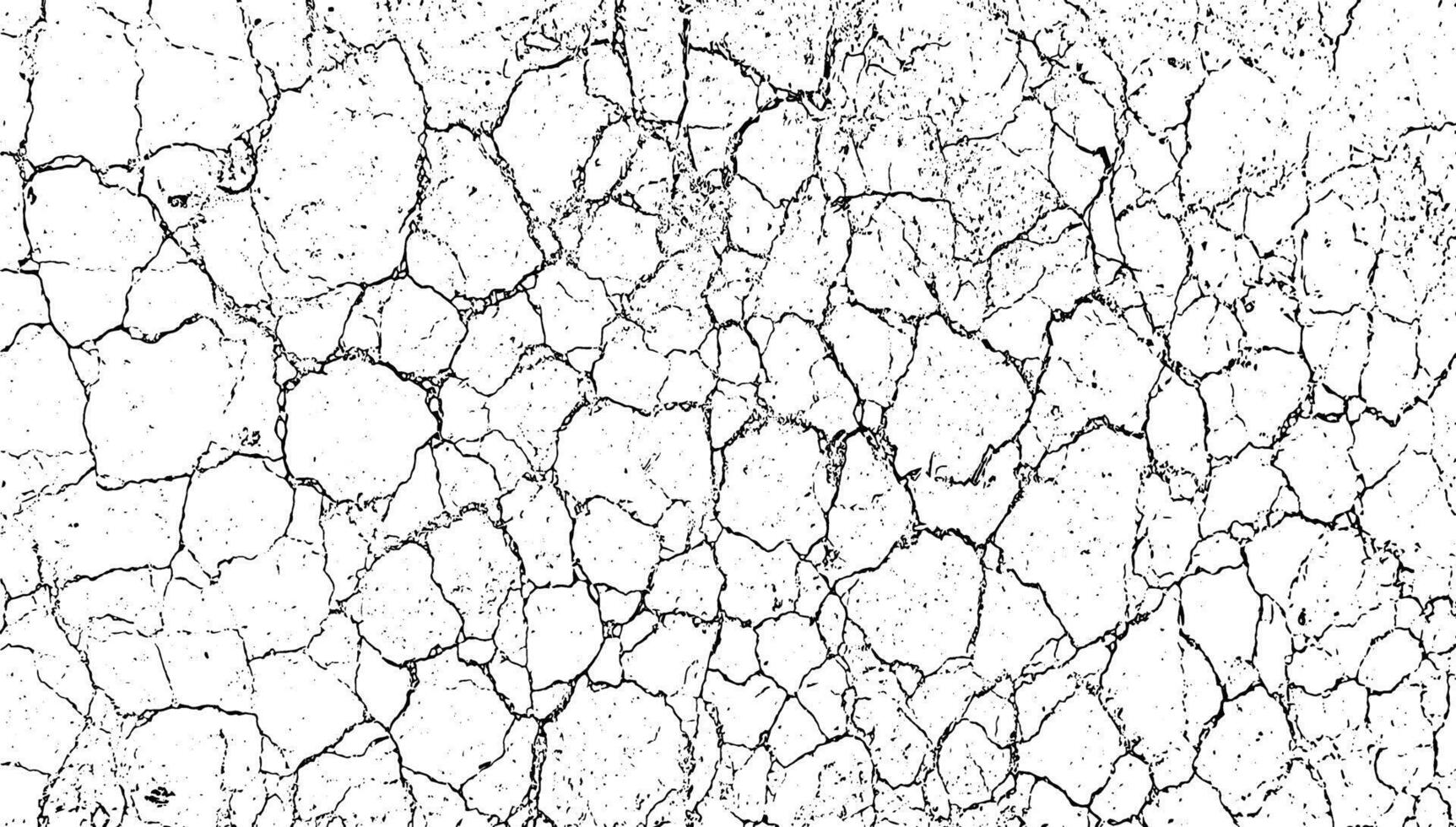 cracked wall texture with cracks and cracks, black and white color cracked texture, land a cracked grunge texture vector
