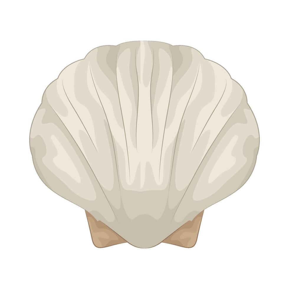 Illustration of seashell vector