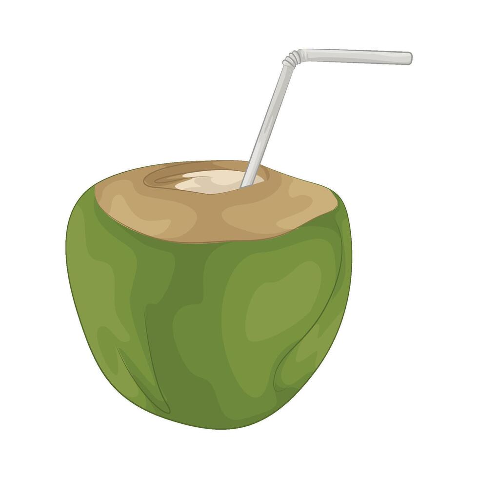 Illustration of coconut drink vector