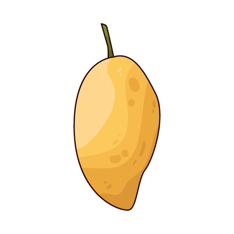 Illustration of mango vector