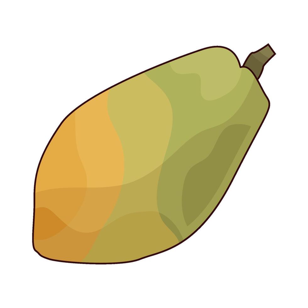 Illustration of papaya vector