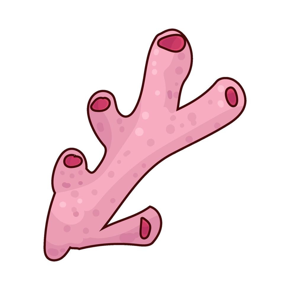 Illustration of coral vector