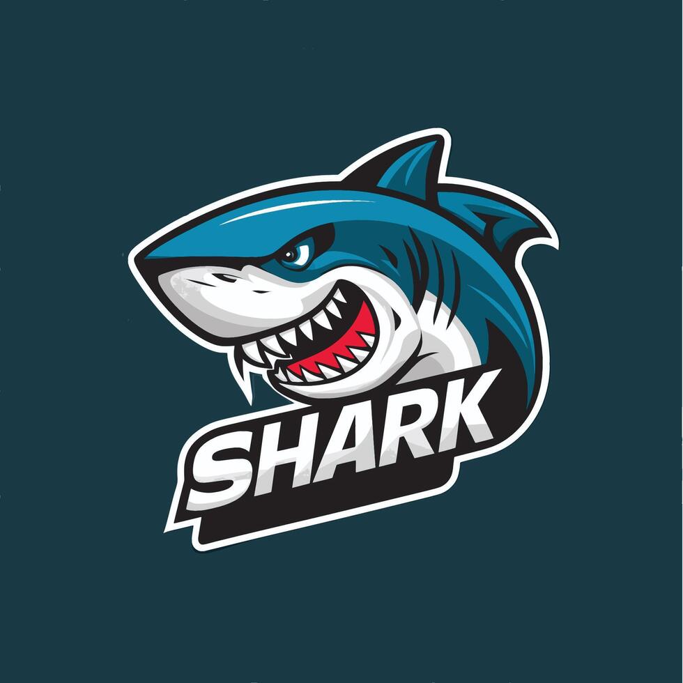 shark design logo illustration with text vector
