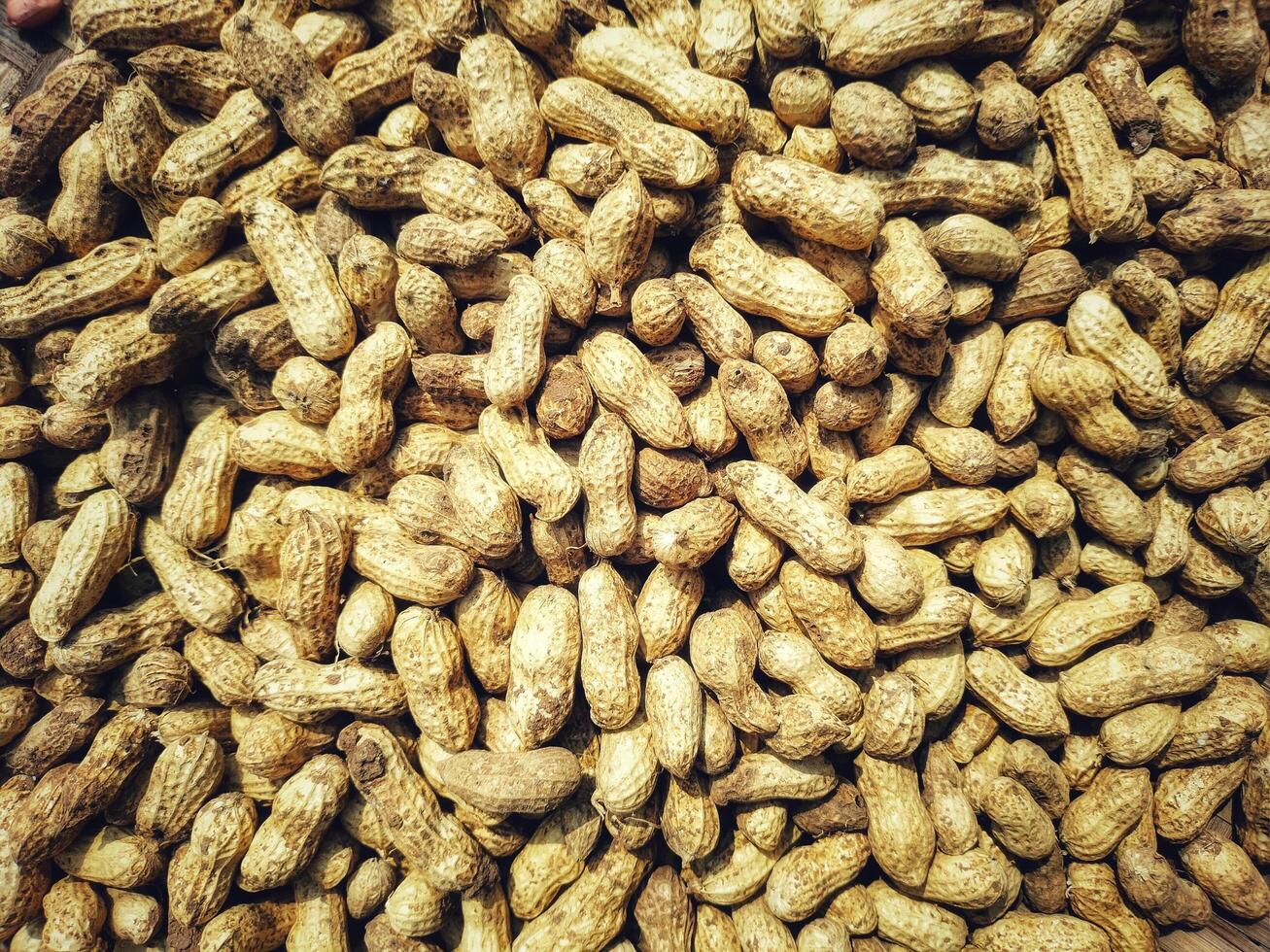 Peanuts Background wallpaper Texture photo