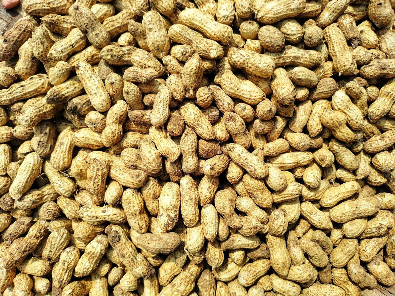 Peanuts Background wallpaper Texture photo