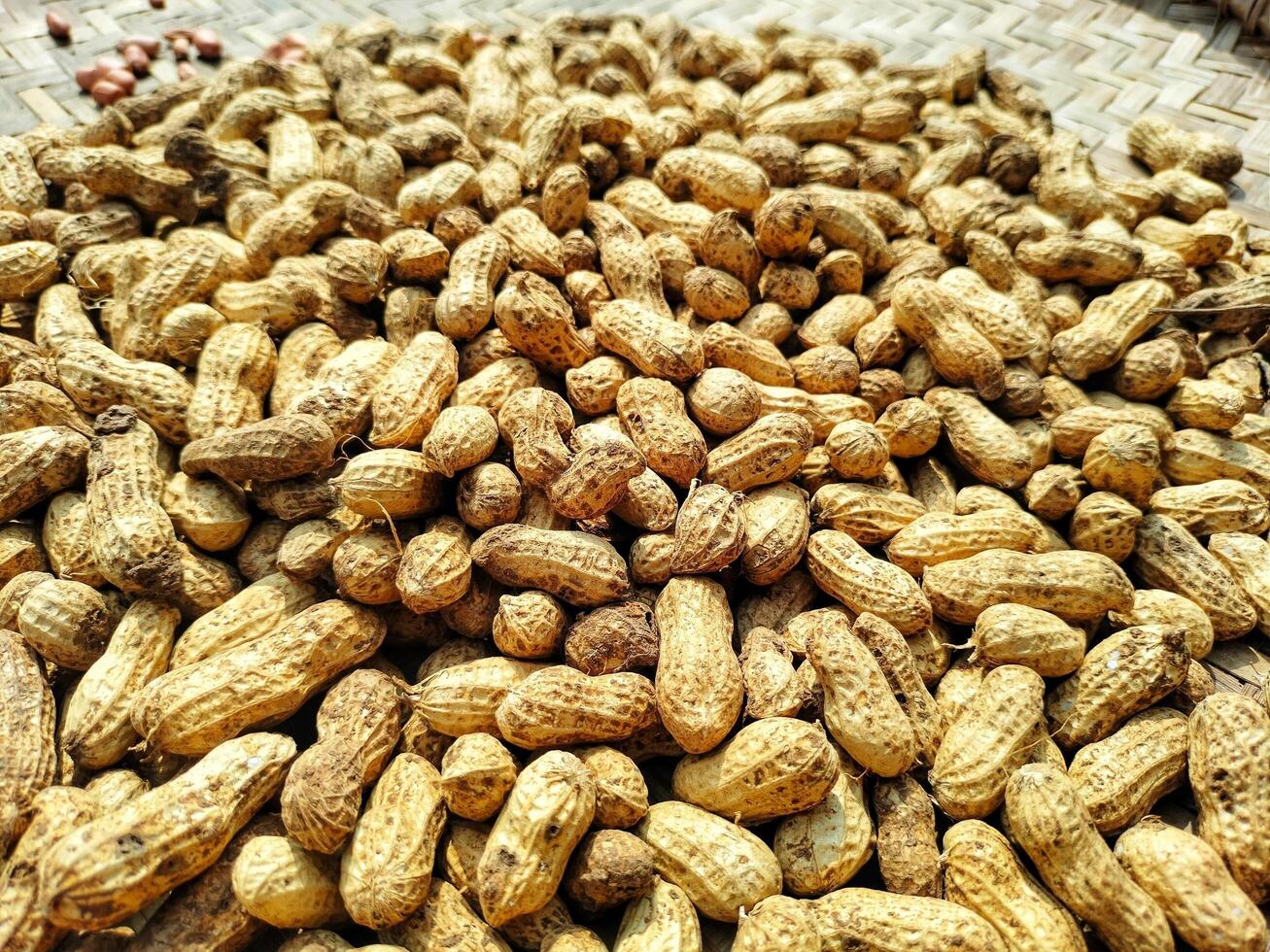 Peanuts Background wallpaper Texture photo