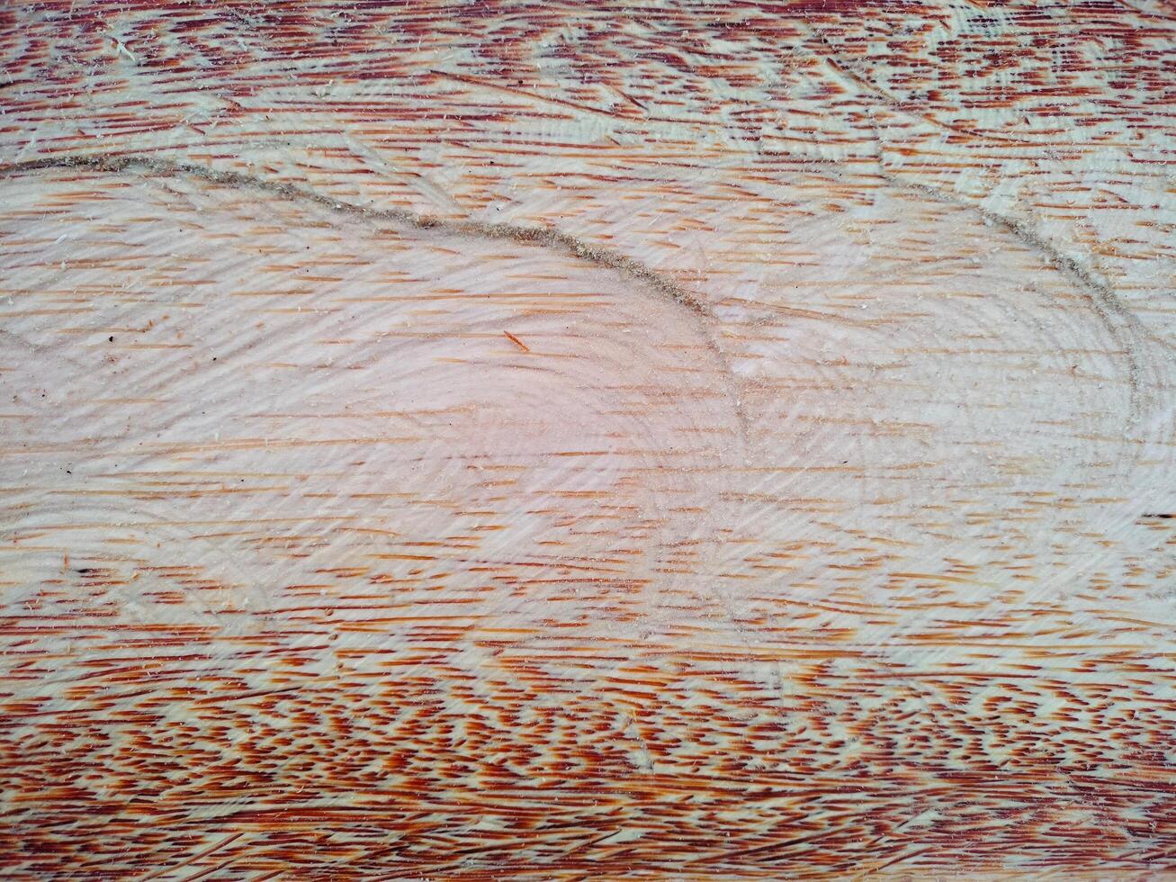 Cut wood texture Background wallpaper photo