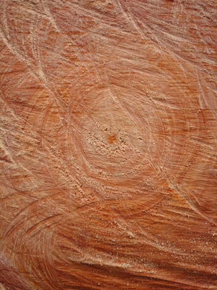 Cut wood texture Background wallpaper photo