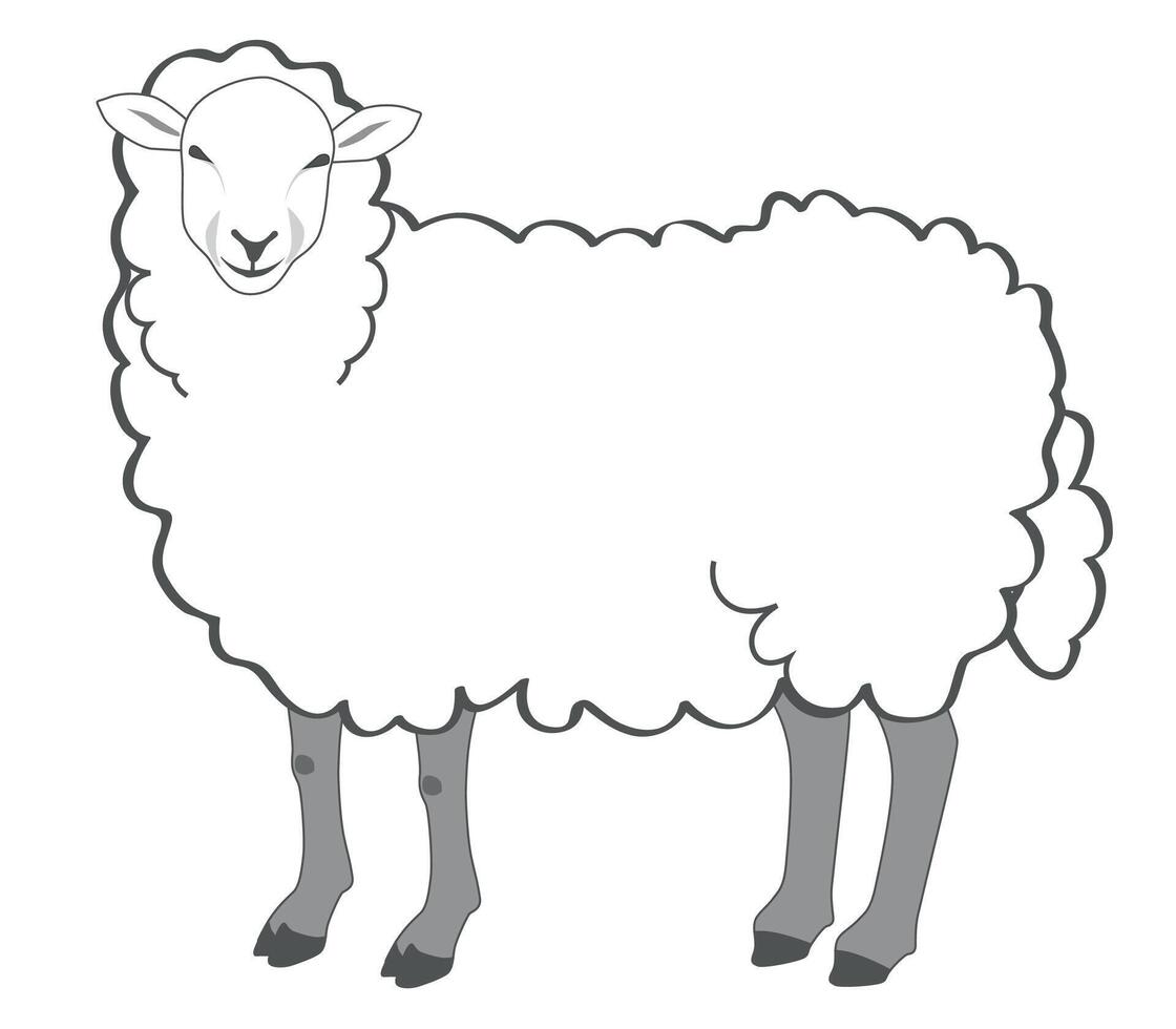 Sheep flat icon. Element from animals collection vector