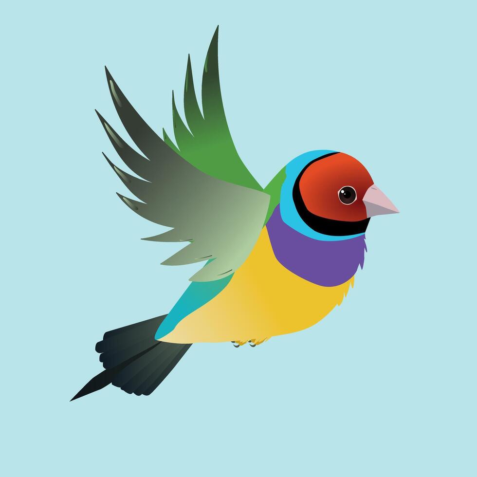 Flying gouldian finch bird on a blue background vector