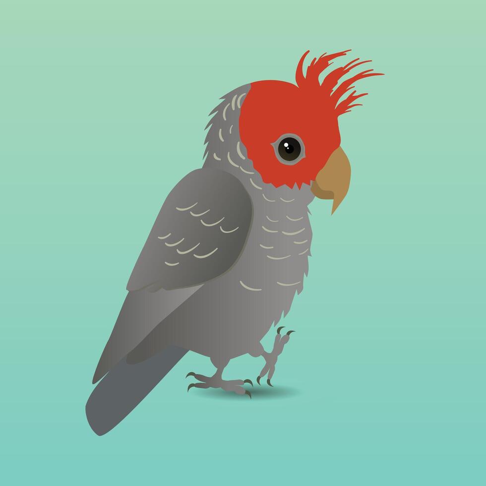 An illustration of a cute Gang gang cockatoo. He is holding one paw up. He looks very cute. Bright green gradient background. Its a male bird, because his crest and head are red. vector