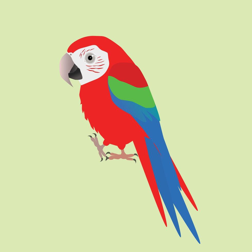An illustration of a funny and cute green winged macaw, cartoon style vector