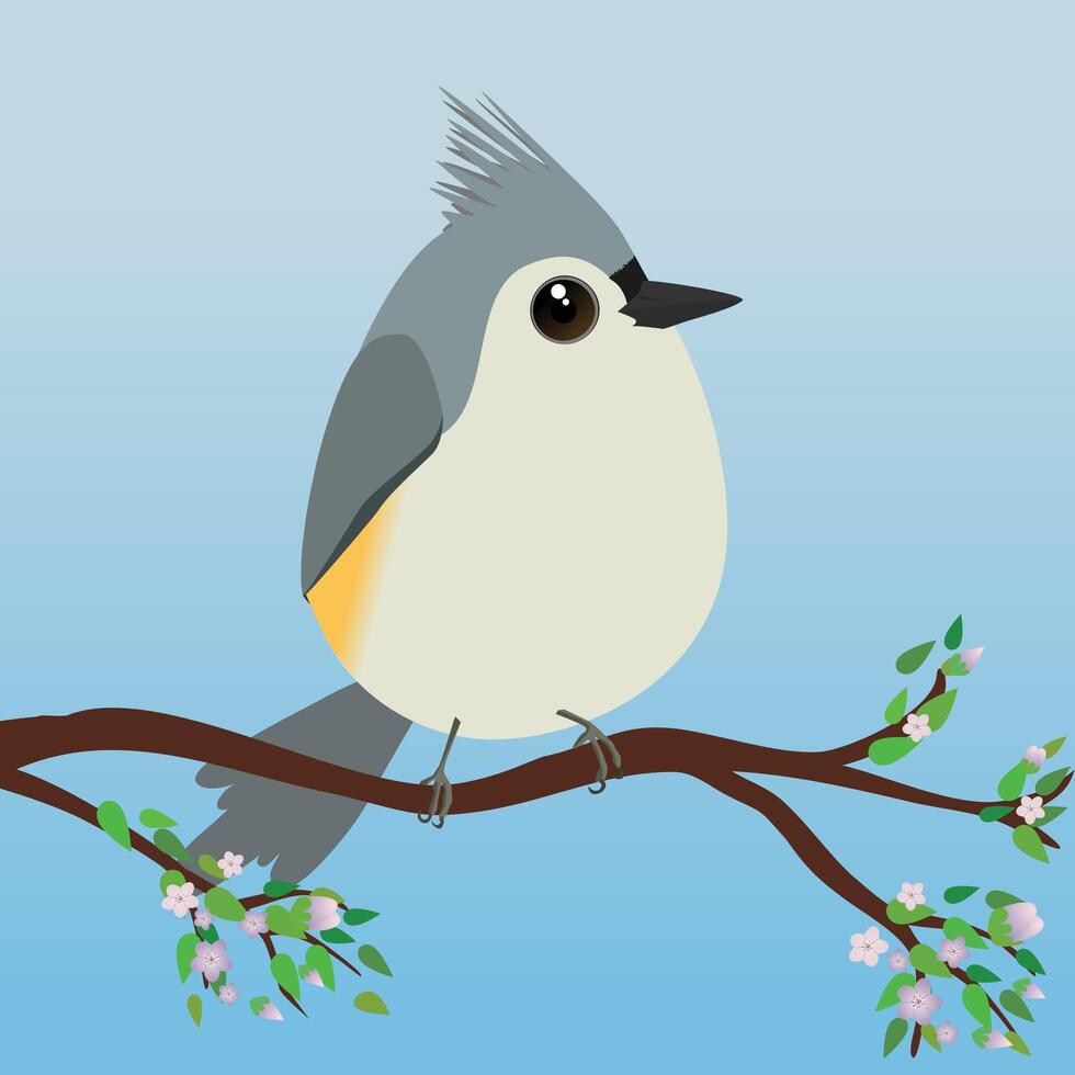 A very cute tufted titmouse bird in the shape of an egg. Blue gradient background. The bird sits on a branch with blossoms and leafs. vector