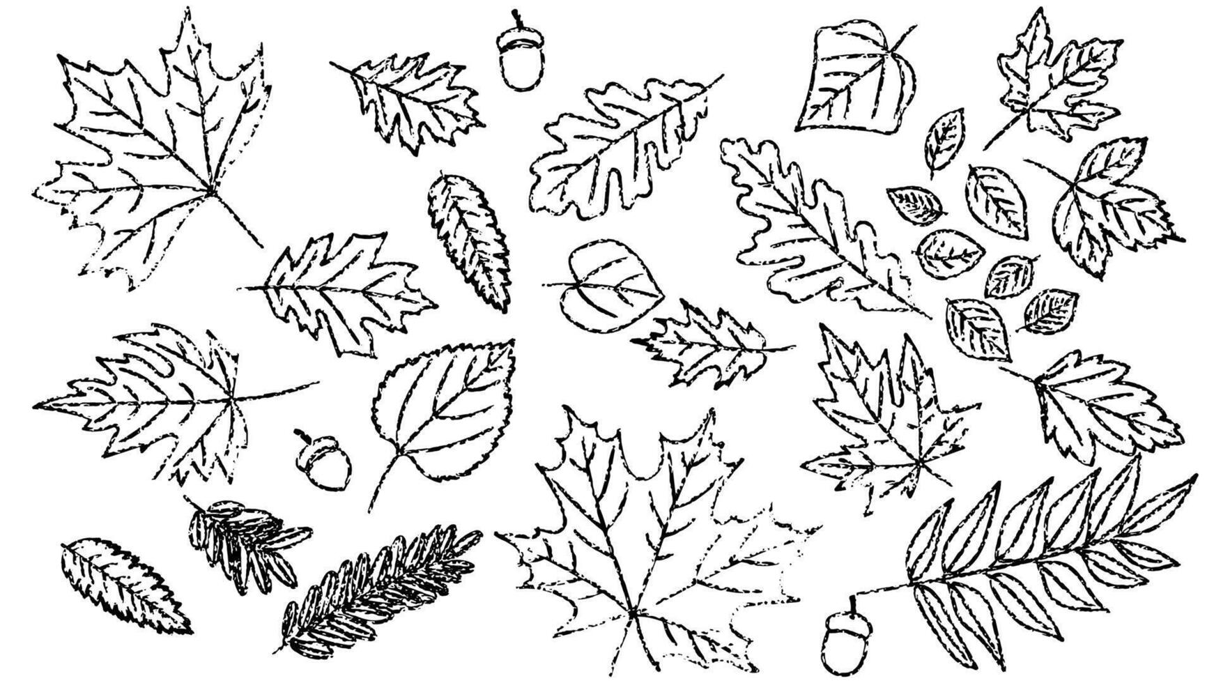 Set of chalk sketches of autumn leaves. The hand drawn, doodle illustrations capture the essence of fall with a fun, creative touch, ideal for seasonal designs. Not AI. vector