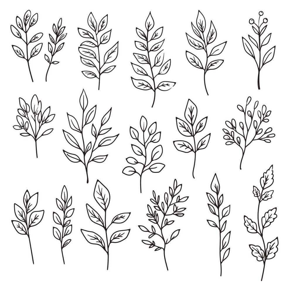 Set of chalk sketches of autumn leaves. The hand drawn, doodle illustrations capture the essence of fall with a fun, creative touch, ideal for seasonal designs. Not AI. vector