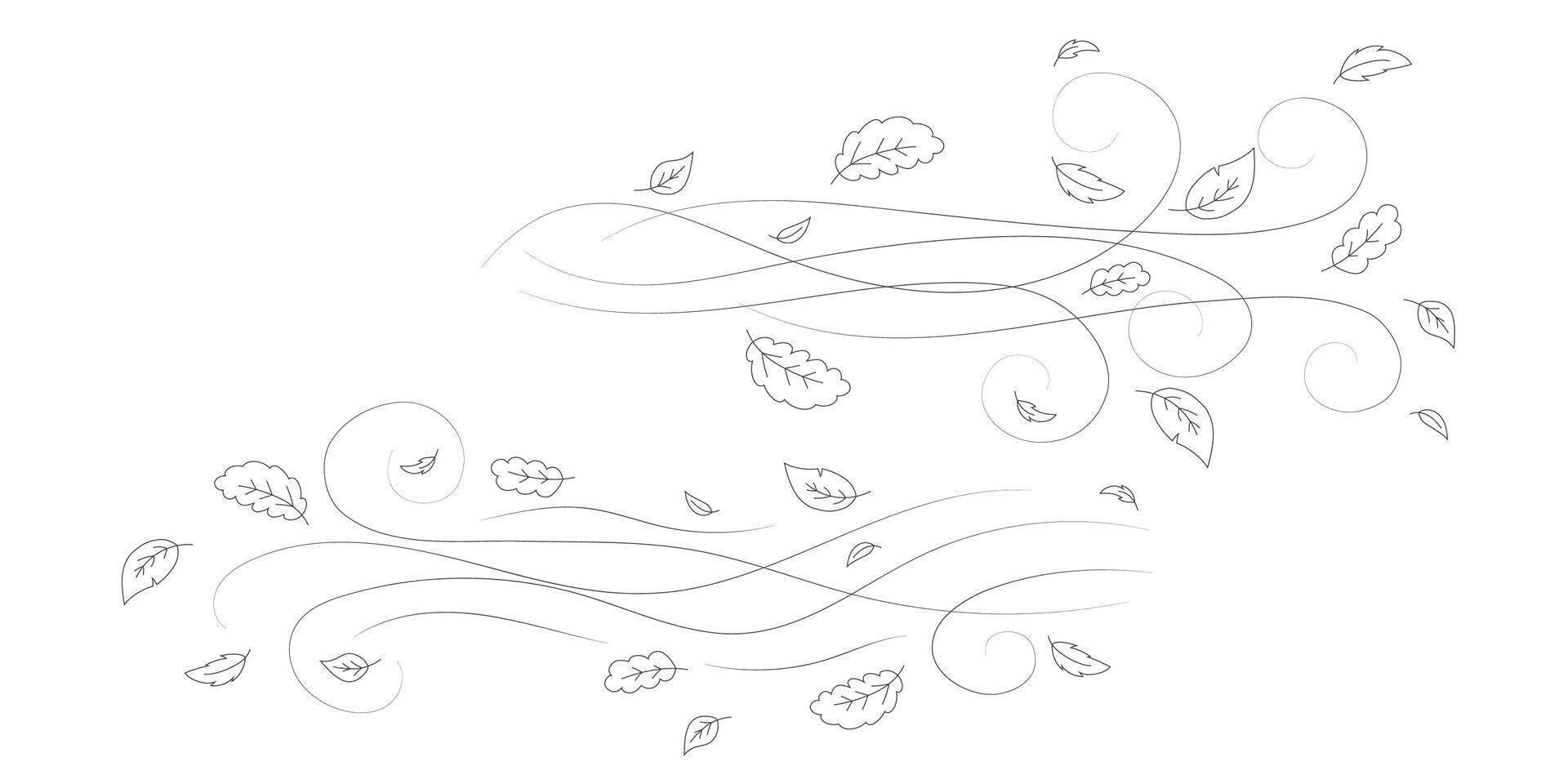 Doodle autumn leaves flying in the wind. Falling season outline backdrop, air flow leaves wave linear pattern or wind blowing doodle print. Autumn windy weather hand drawn monochrome background vector