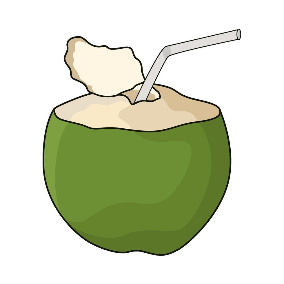 illustration of coconut water vector
