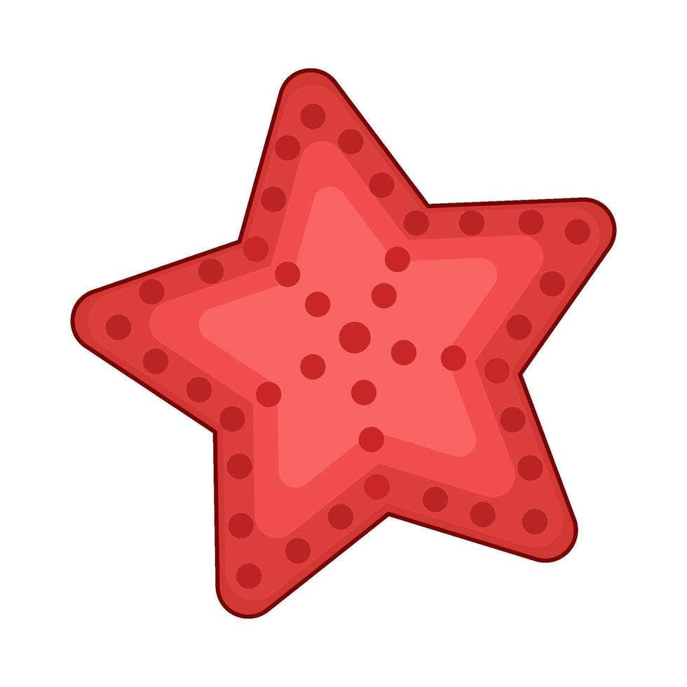 illustration of starfish vector