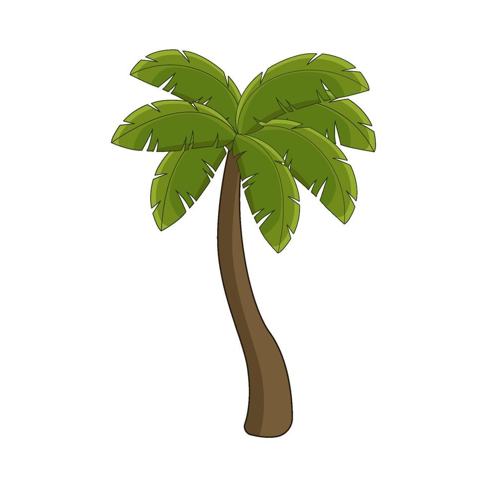 illustration of palm tree vector