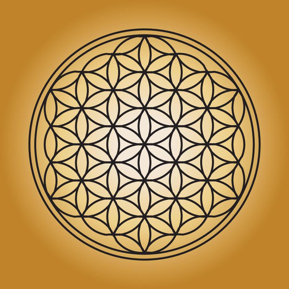 Flower of Life sacred geometry design element illustration vector