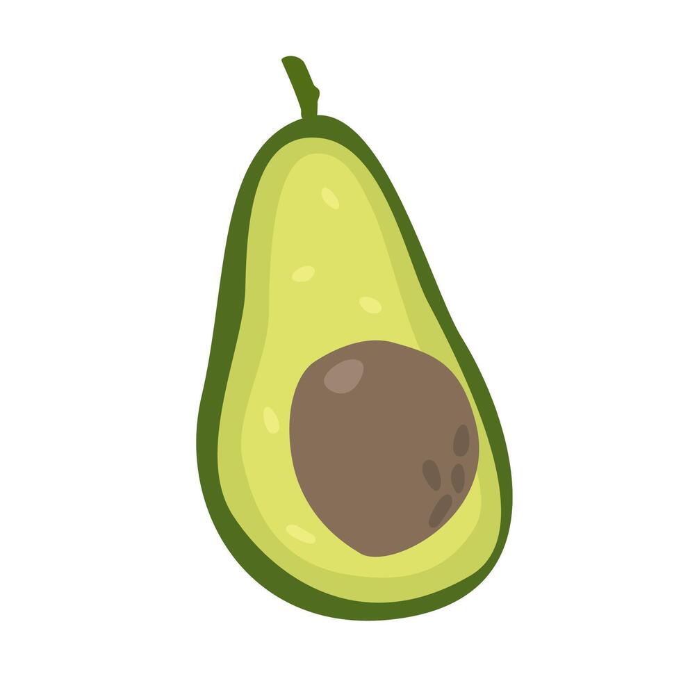 Hand drawn avocado sketch. Illustration of fresh half cut with core. Isolated element on white background for organic food concept vector
