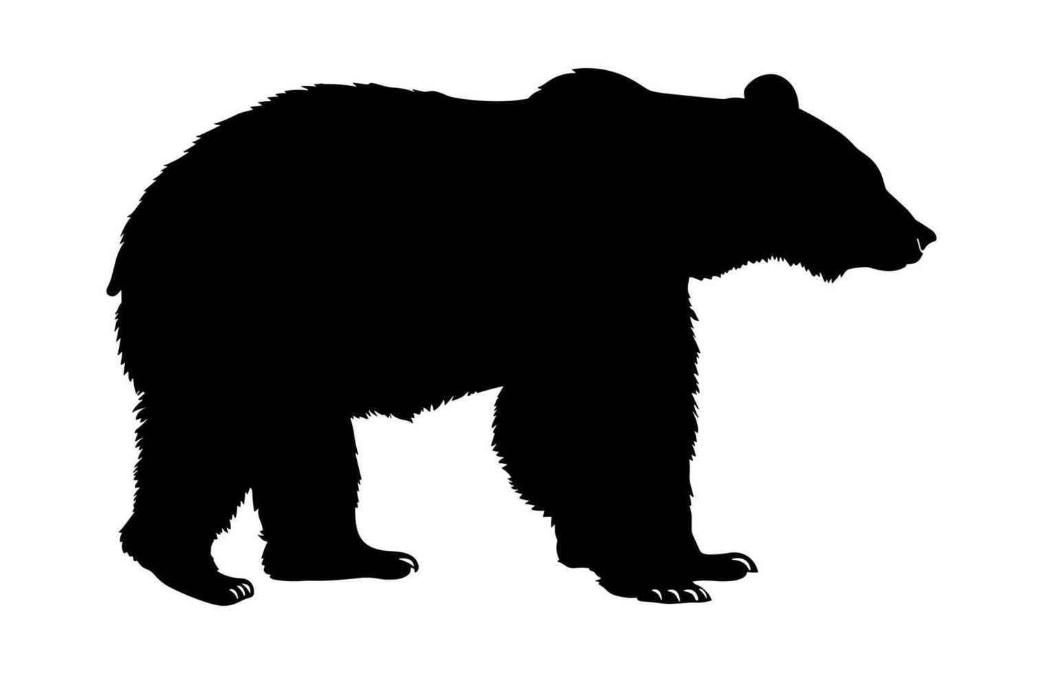 American Black Bear Silhouette isolated on a white background vector