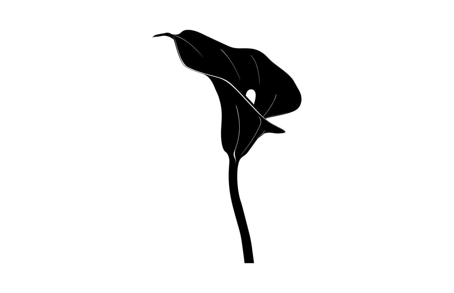 Arum Lily Silhouette vector