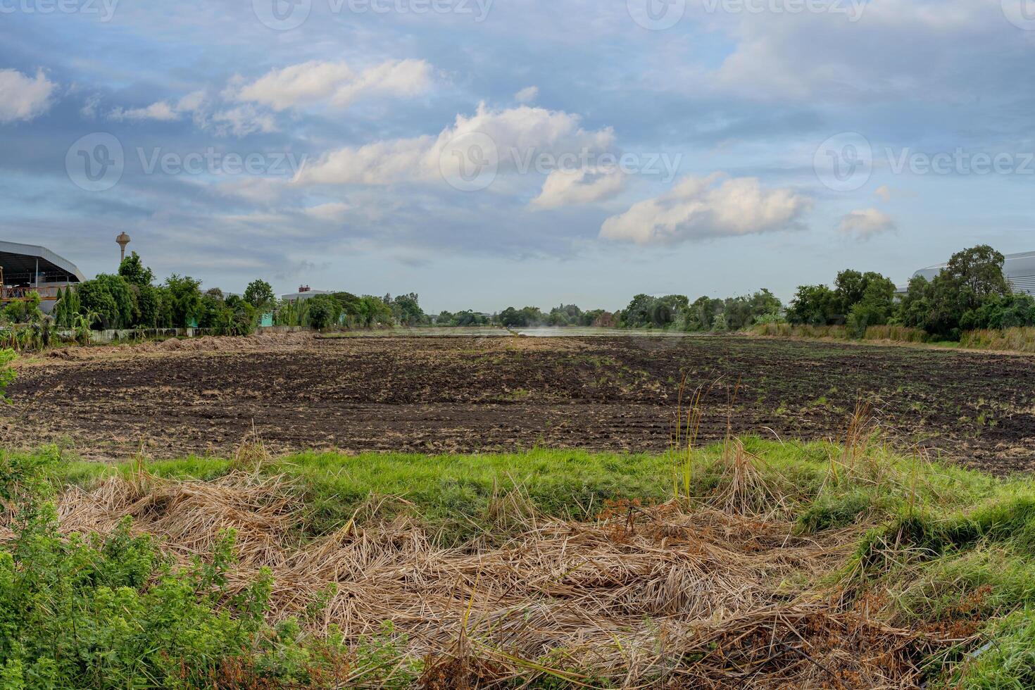 Empty dry cracked swamp reclamation soil, land plot for housing construction project with car tire print in rural area and beautiful blue sky photo