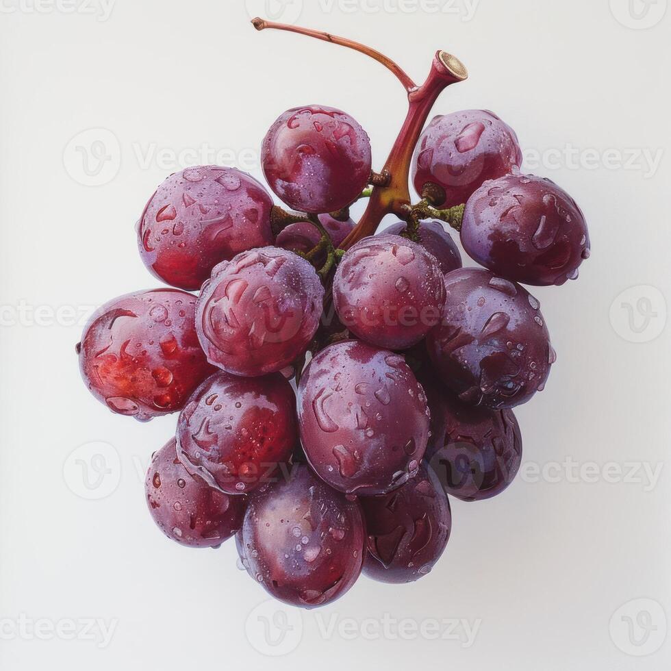 a close up of a bunch of grapes with water droplet photo