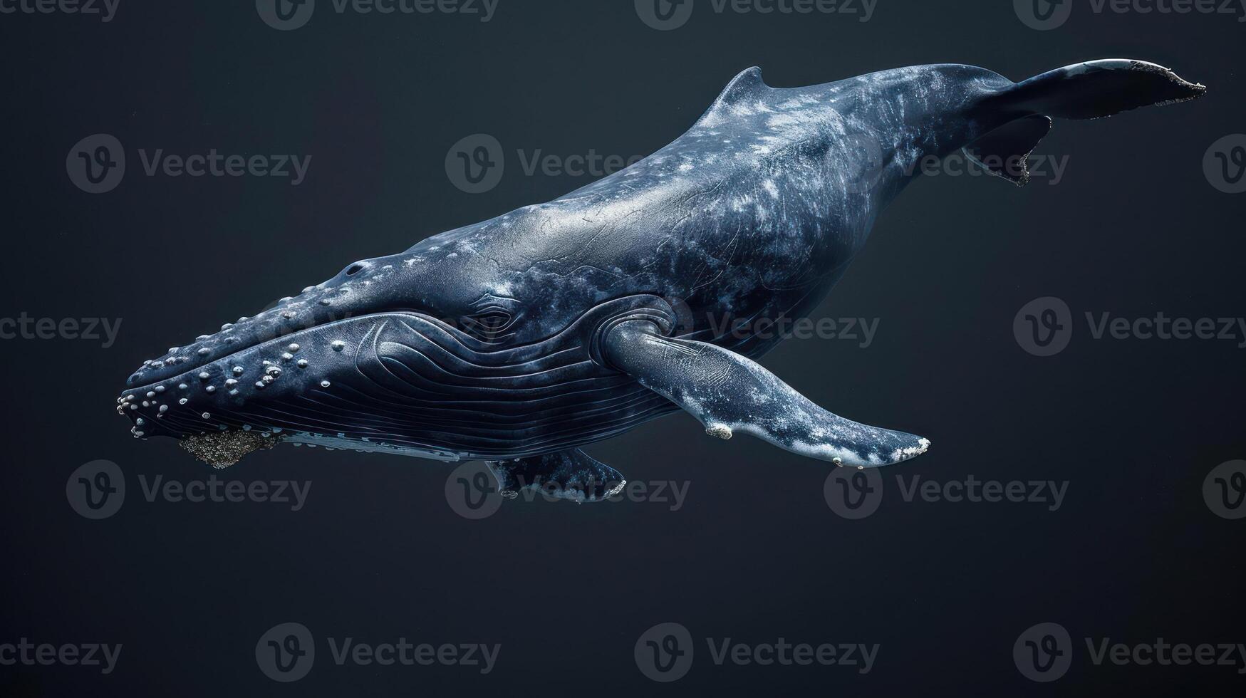 A majestic whale leaps out of the water in a stunning display of grace and power. photo