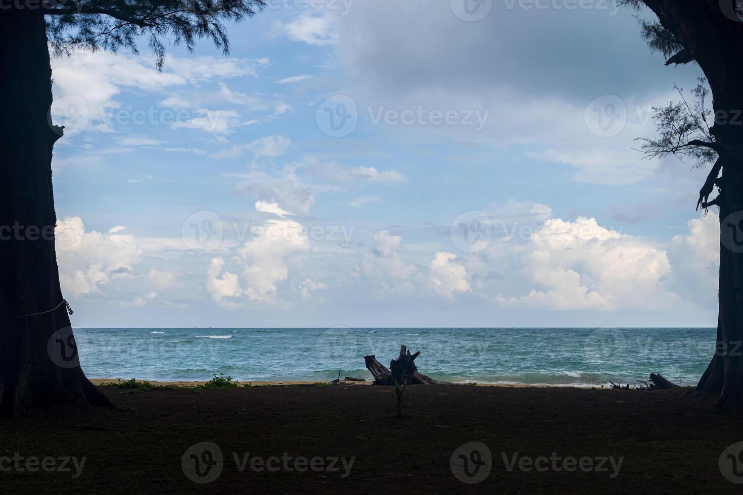 Seascape with sailboat in the background. Branches of a tree framing the scenery. Natural silhouette of a sea view. photo