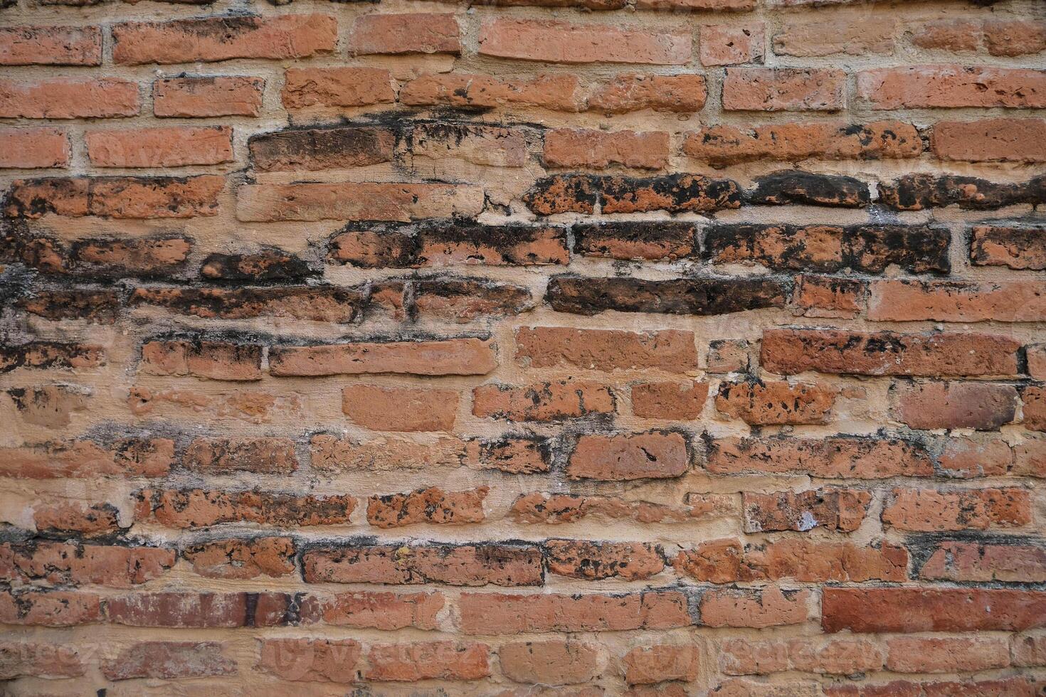 Antique wall of red old bricks in a row. Vintage bricks background. photo
