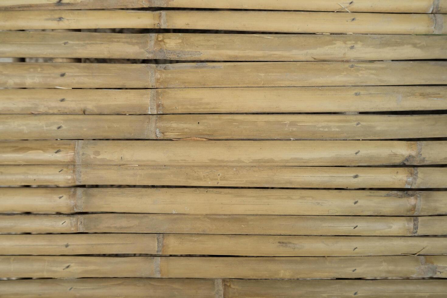 Light brown bamboo background. Nature Background. photo