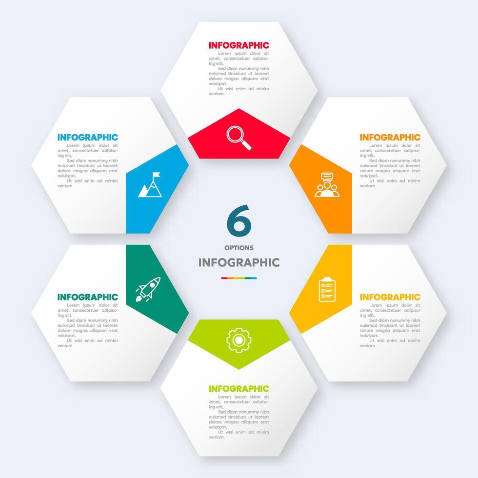 modern infographic hexagon shape vector