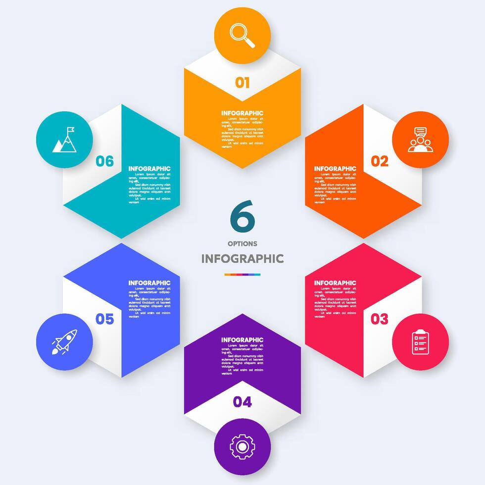 6 option infographic vector