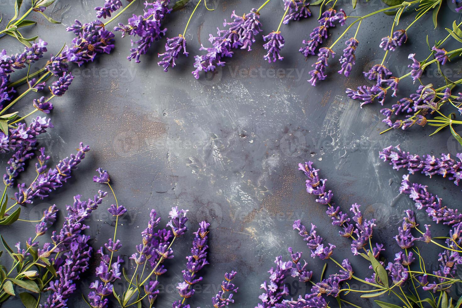 purple lavender flowers frame on gray concrete background top view with copy space photo