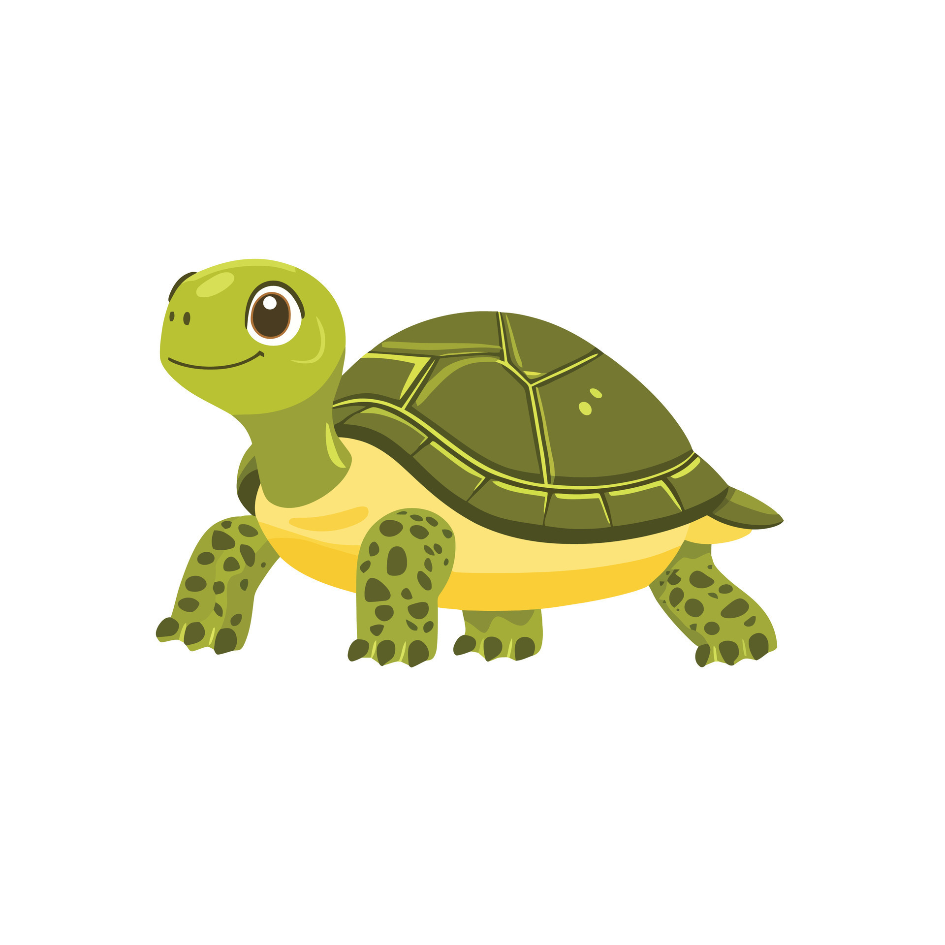a cartoon turtle on a white background 49977171 Vector Art at Vecteezy