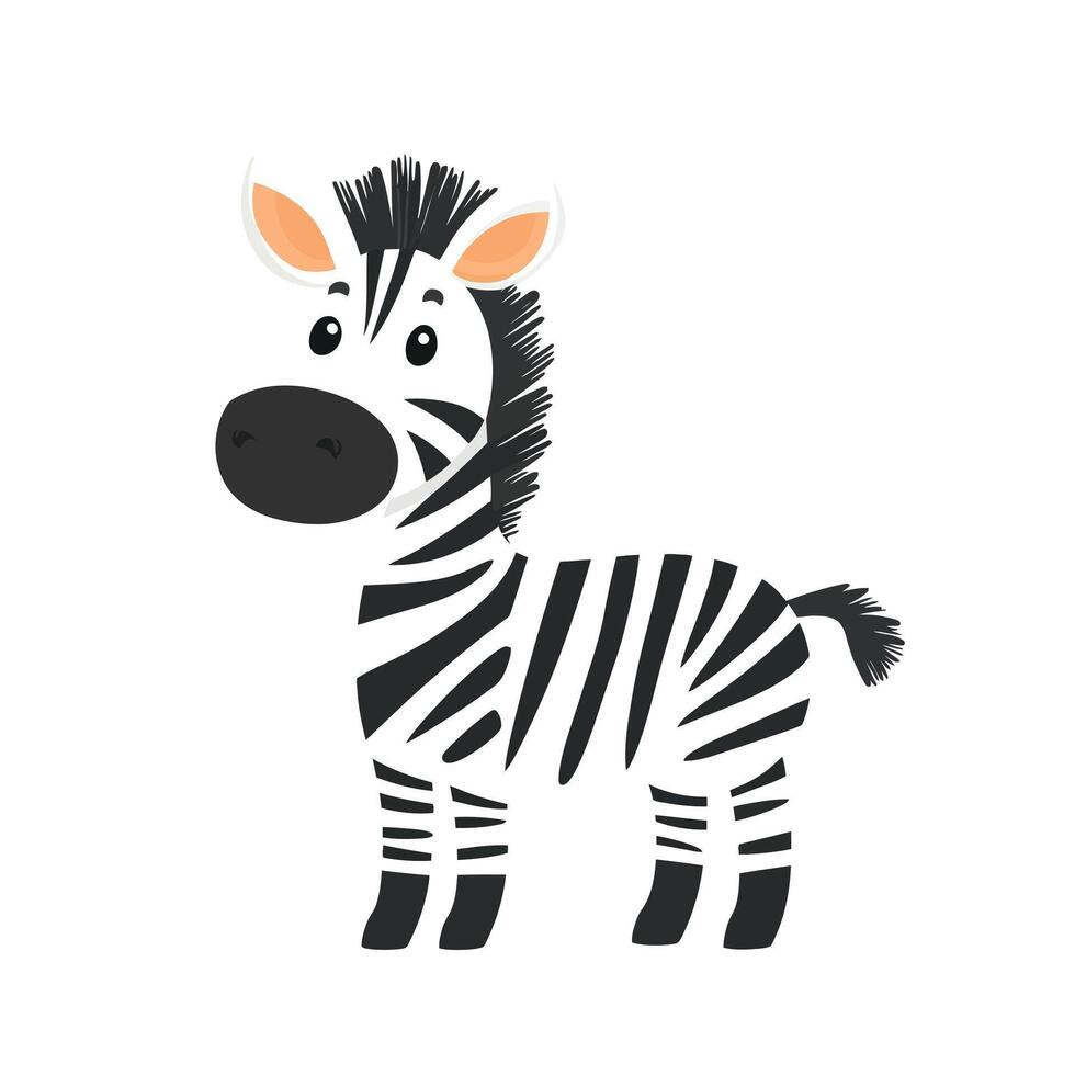 Black and white zebra vector