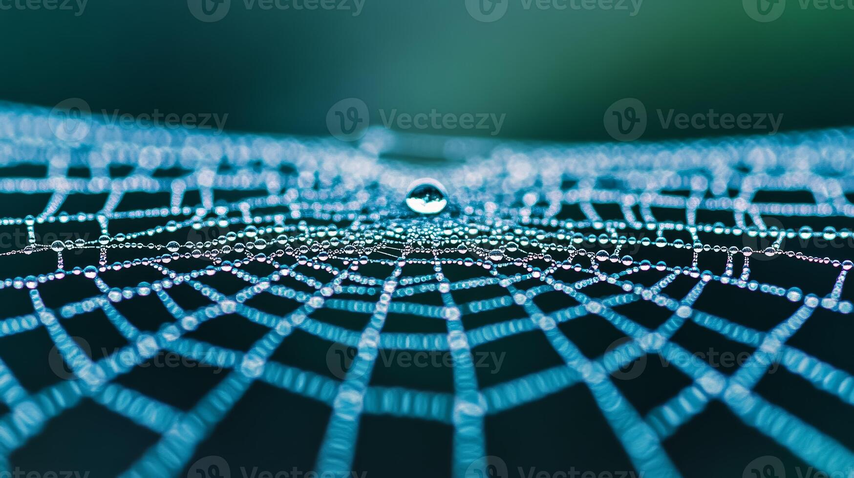 Macro image of raindrops on a spiders web glistening in the sunlight photo