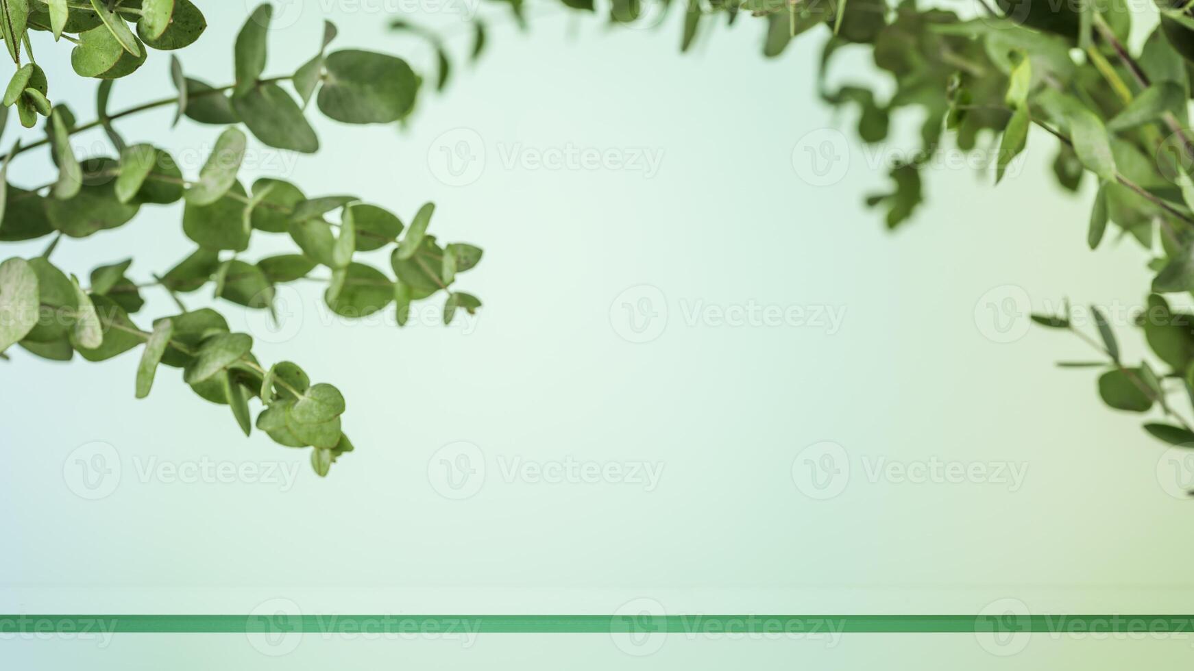Empty glass shelf on light blue background with eucalyptus branches photo
