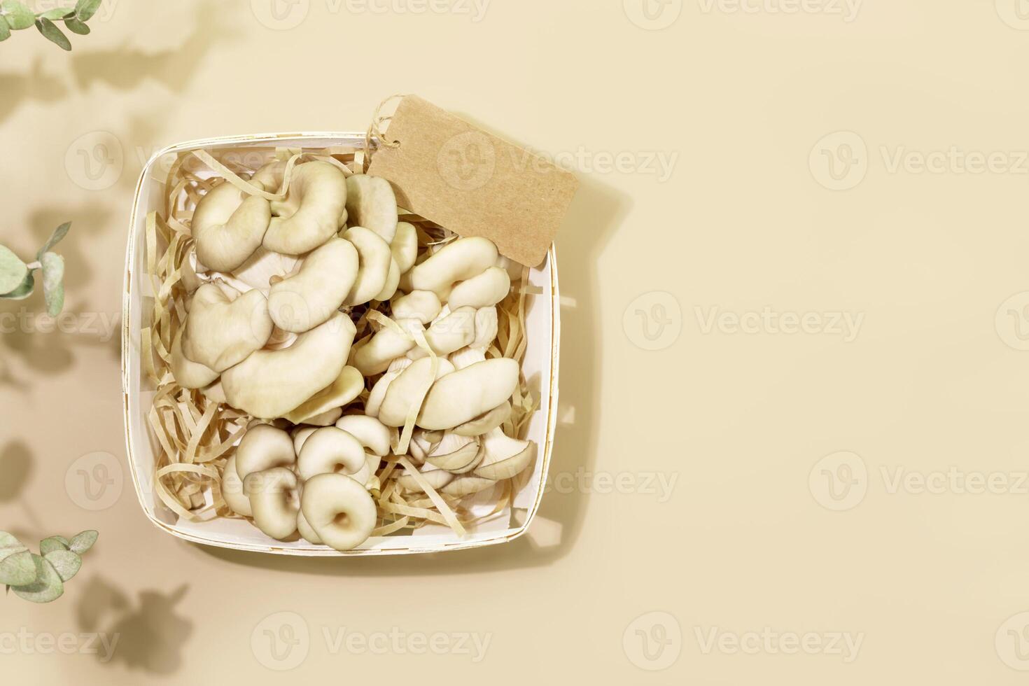 Oyster mushrooms in a wooden box with label on beige background with copy space photo