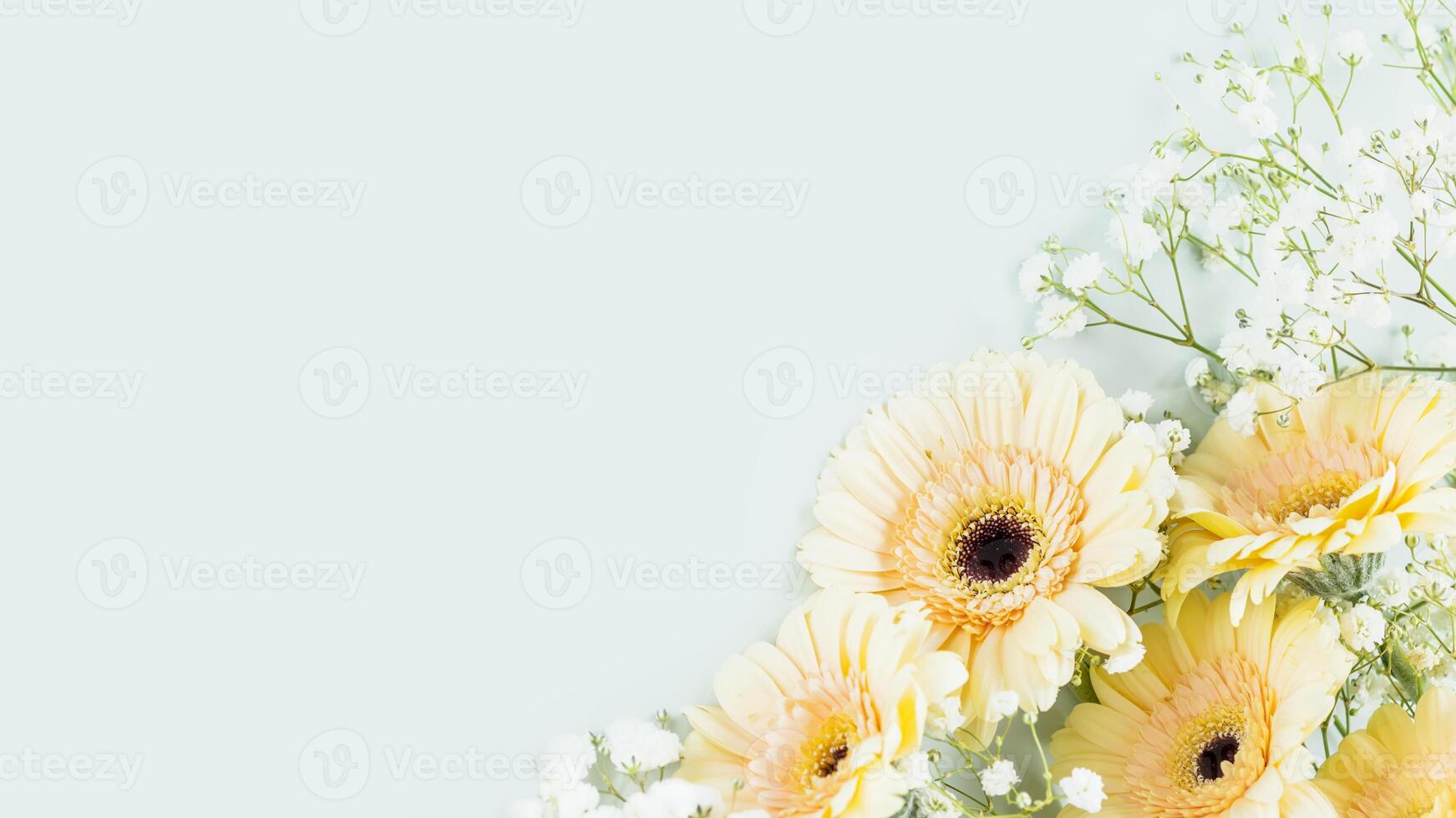 Tender gerberas and white gypsophila on light blue background with copy space photo