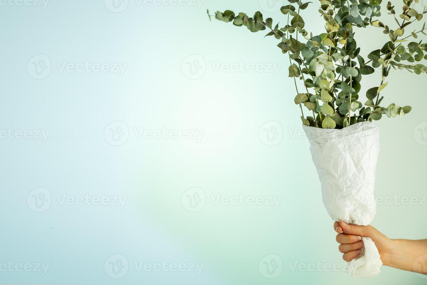 Woman's hand holds a bouquet with eucalyptus branches photo